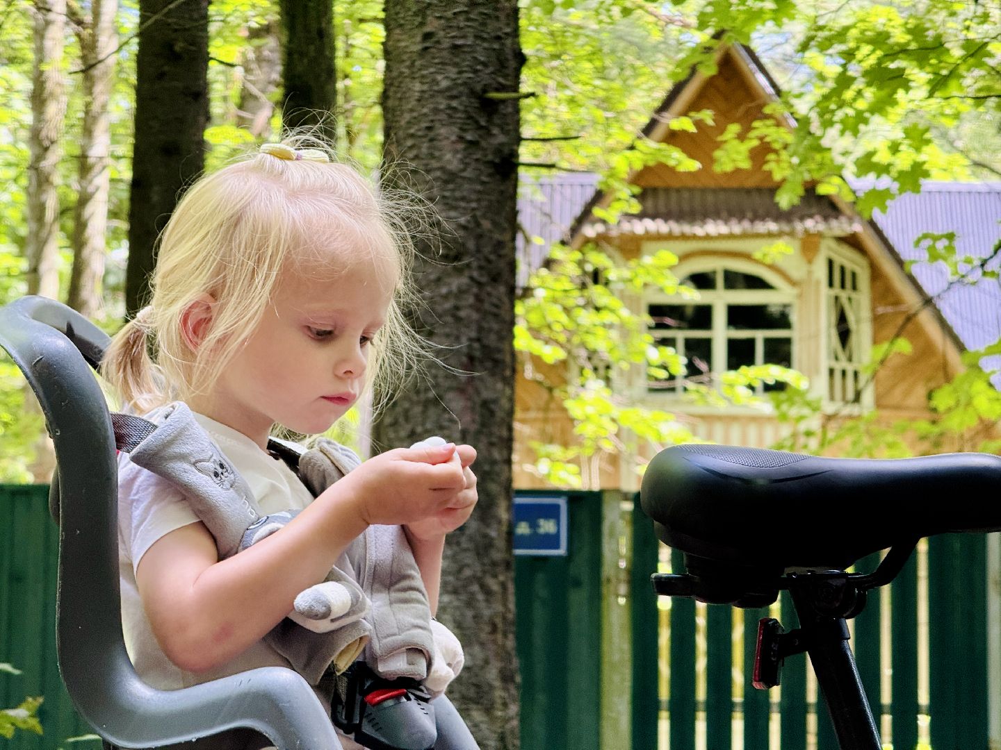 раменское, кратово, экскурсия, стародачное кратово, новая экскурсия, велосипедная экскурсия,