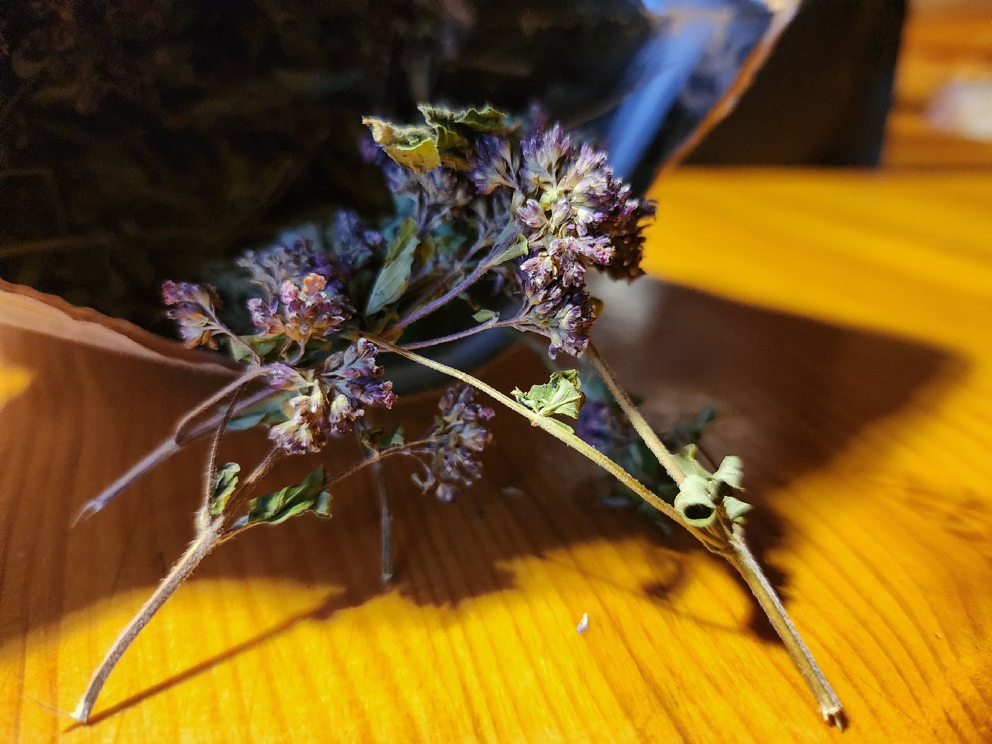 садоводство, сбор урожая, хранение урожая, старая купавна, богородский городской округ,