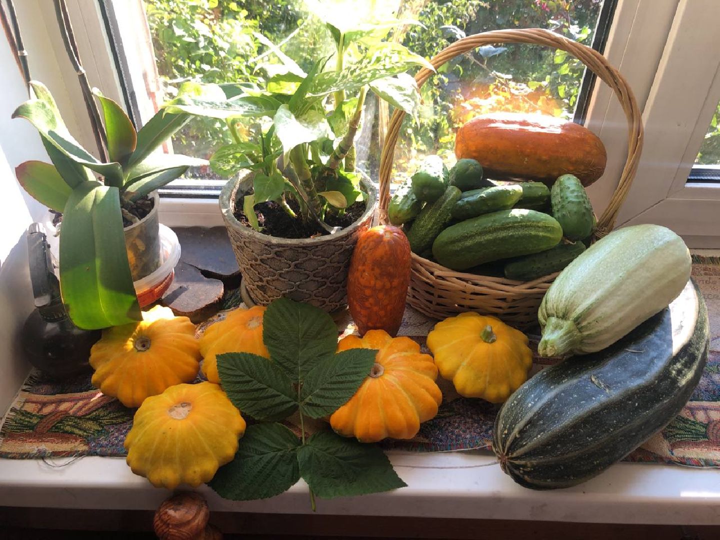 садоводство, сбор урожая, хранение урожая, старая купавна, богородский городской округ,