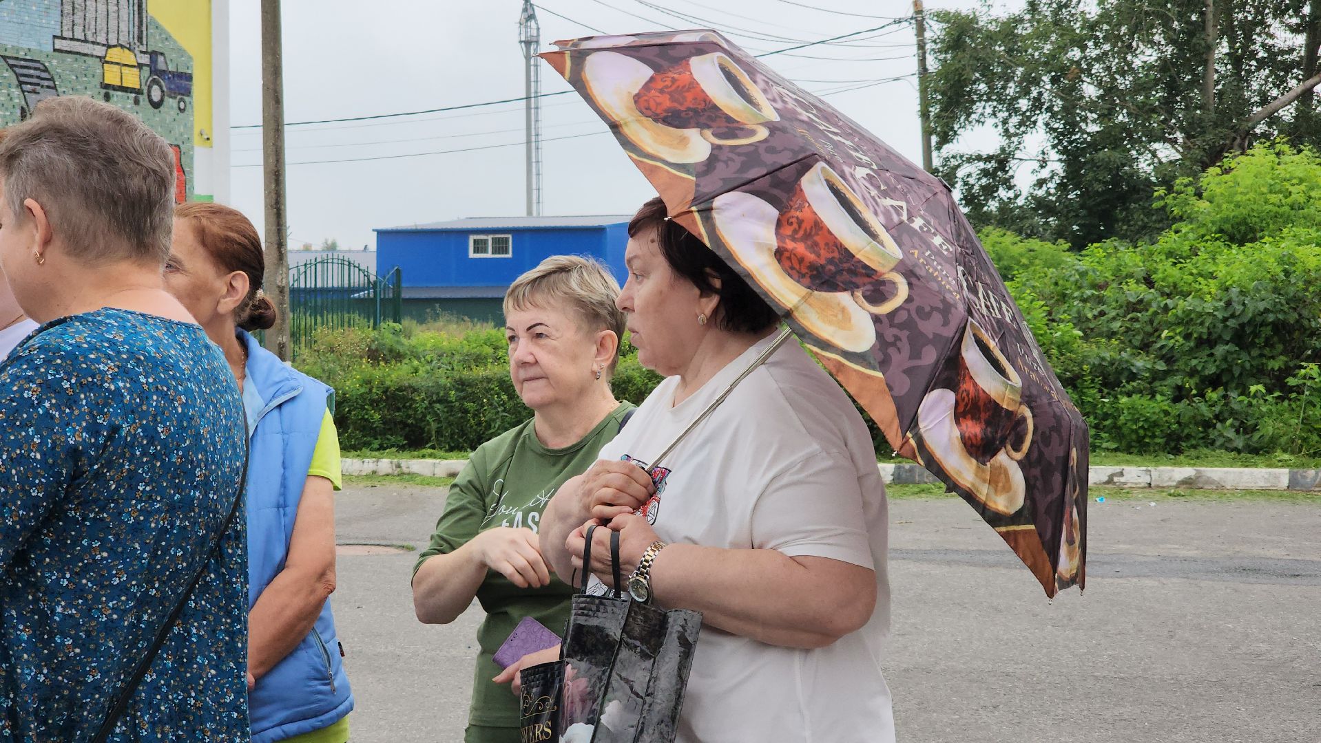 коммунальные услуги, жкх,  мособлеирц, село кудиново, богородский городской округ,