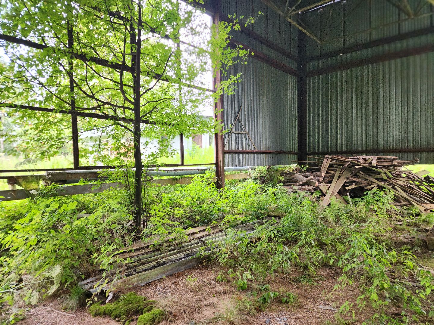 сергиево-посадский городской округ, васильевское, ярыгино, резиденция керамики, посадская усадьба, школа керамики, михаил бывших, гончарная мастерская, гончарное дело, фарфор попова,