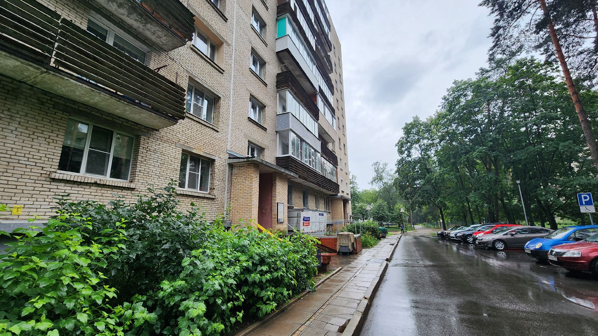 клуб молодая семья, центр молодежных инициатив, протвино, трудовые бригады,