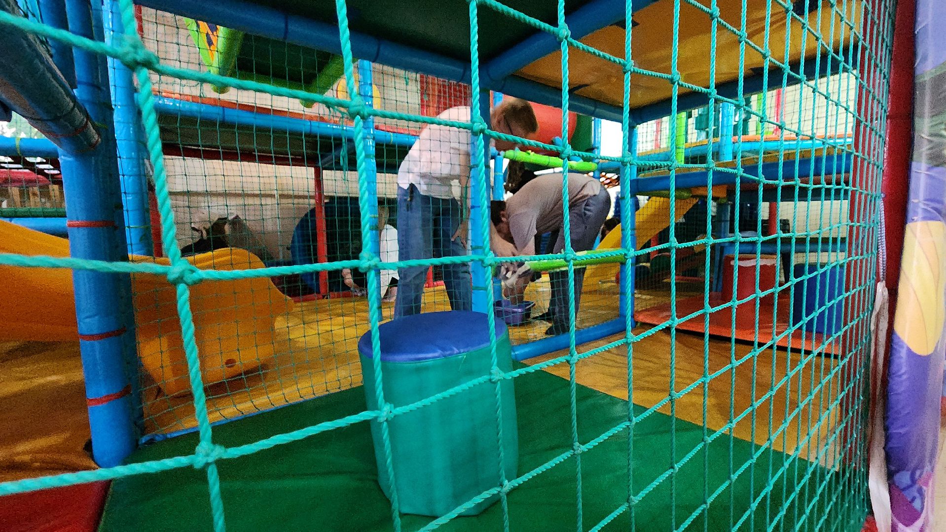 клуб молодая семья, центр молодежных инициатив, протвино, трудовые бригады,