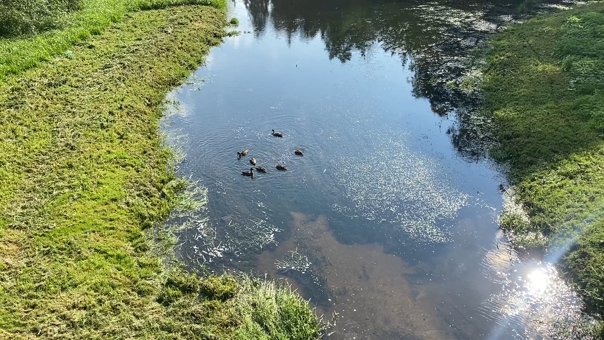 русло реки Закза, власиха озеро, верхнее озеро власиха, очистка озера власиха, коммунальная служба власиха,