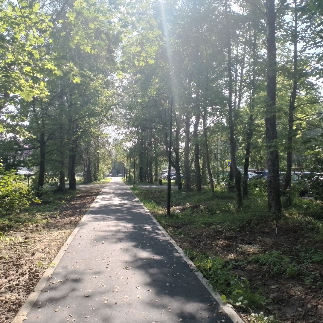 городской округ восход, благоустройство, аллея , школа, новый асфальт,