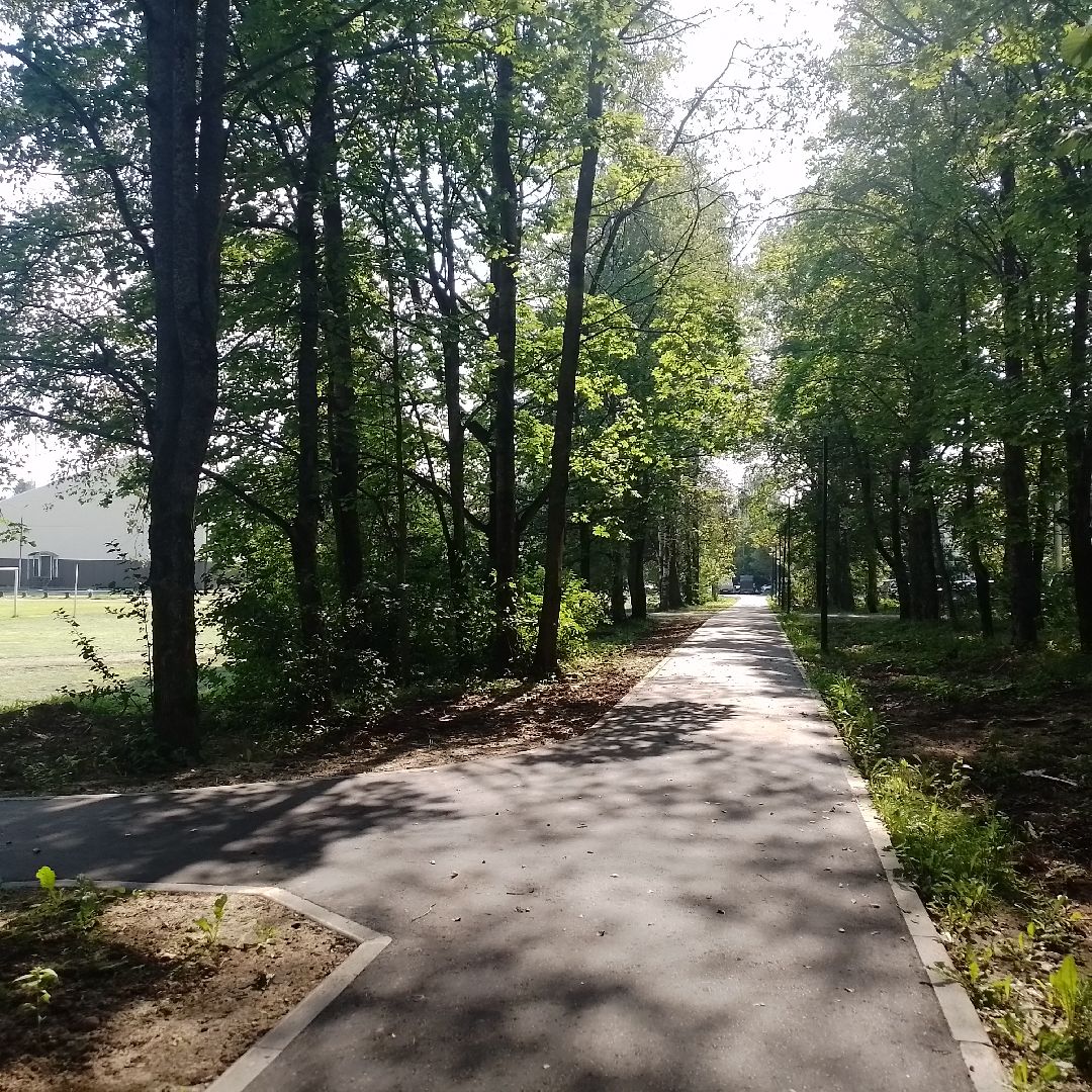 городской округ восход, благоустройство, аллея , школа, новый асфальт,