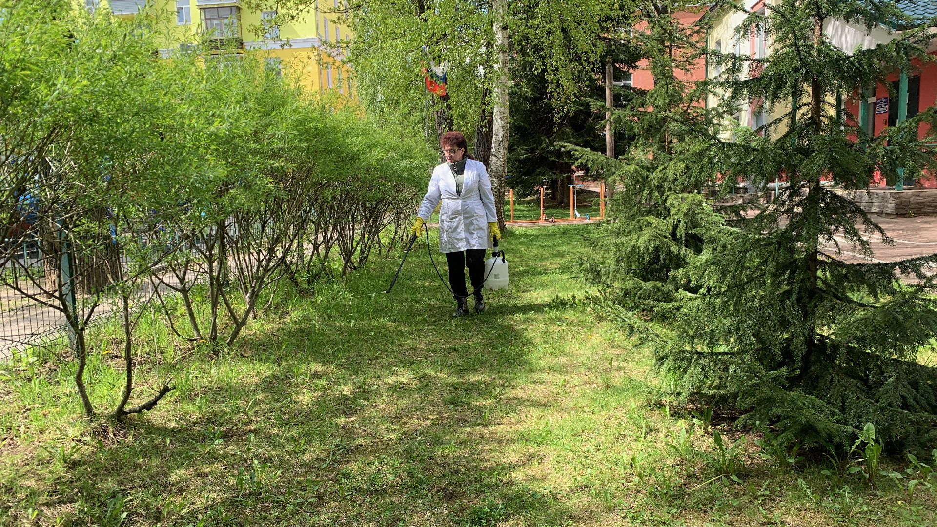 Ступино, клещи, санобработка