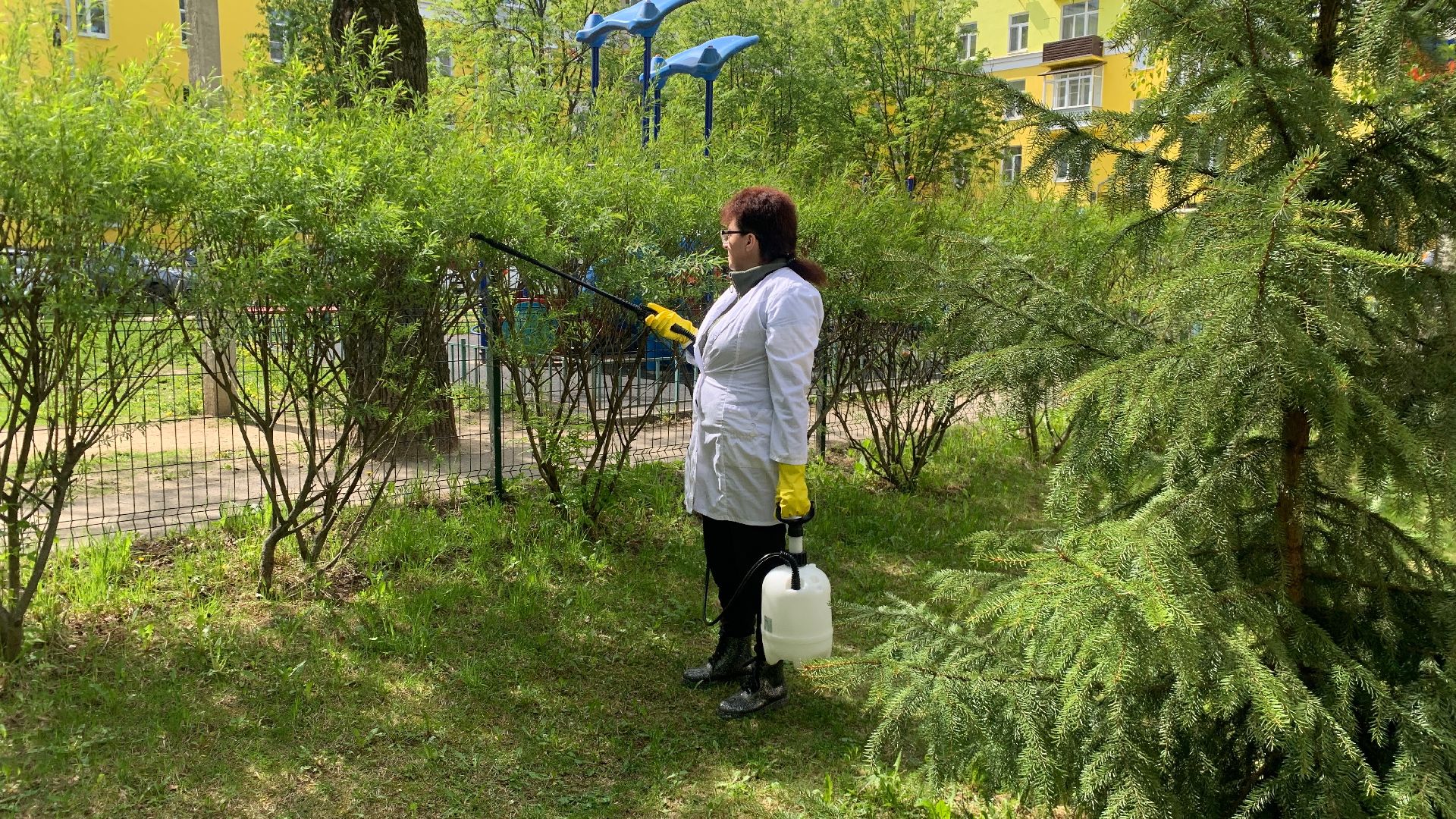 Ступино, клещи, санобработка