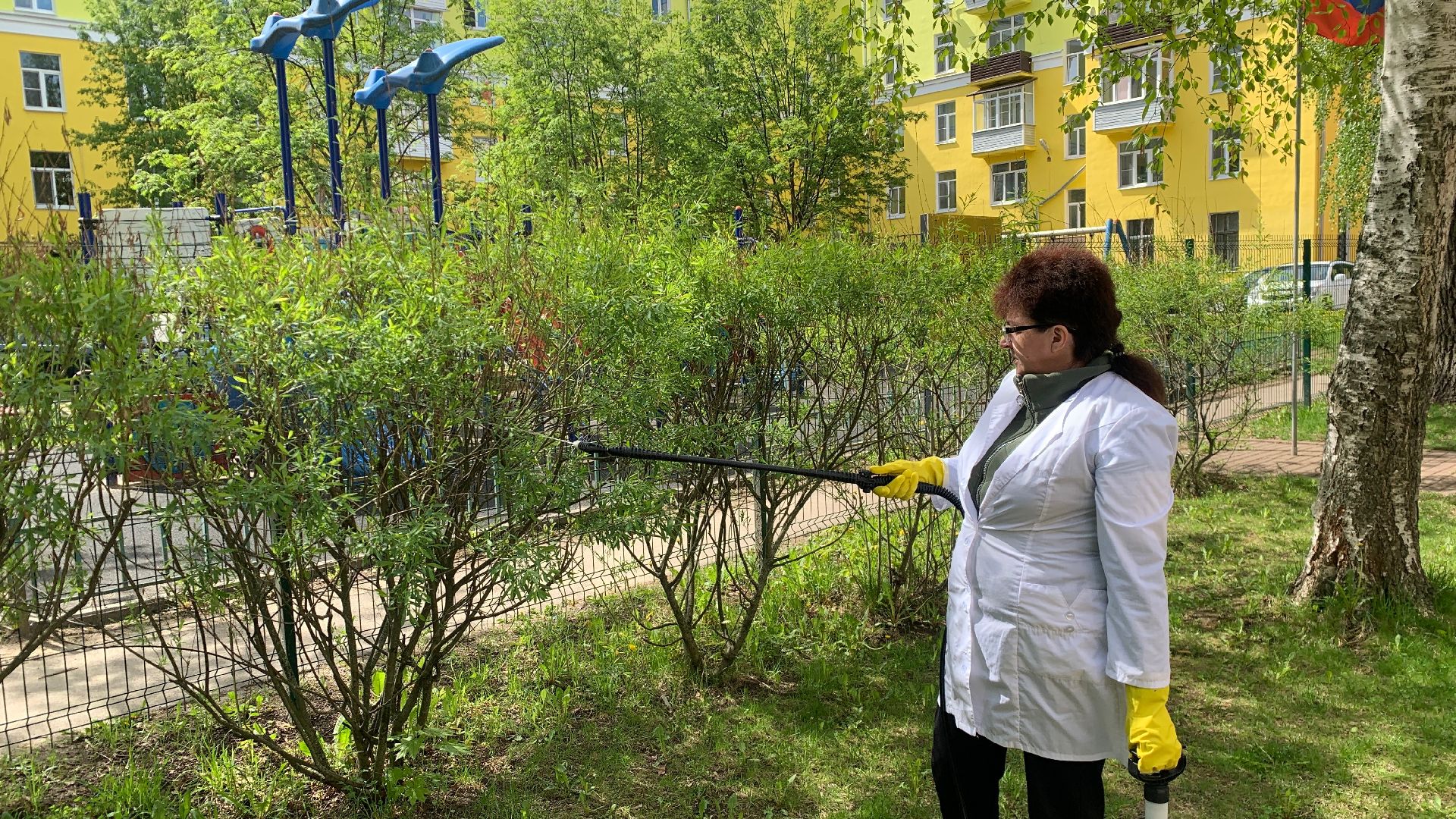 Ступино, клещи, санобработка