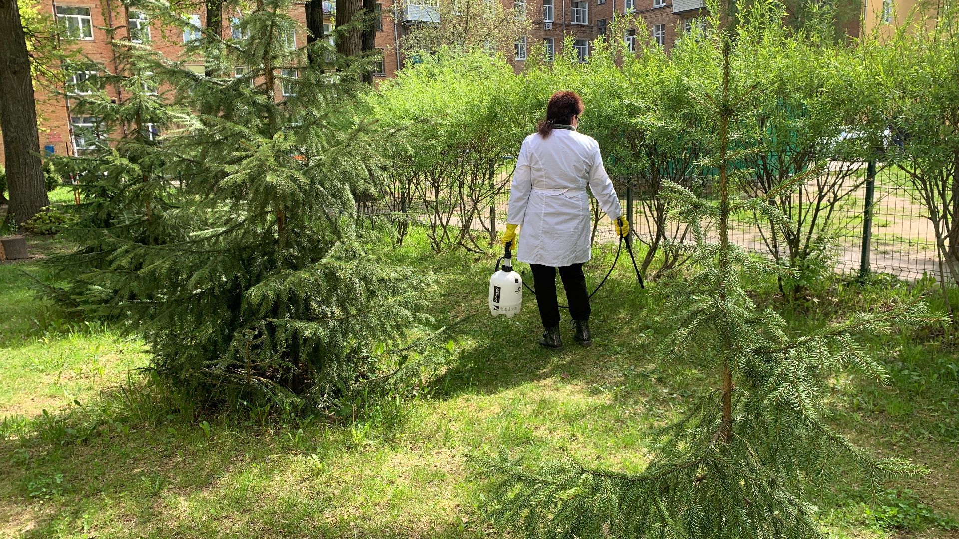 Ступино, клещи, санобработка