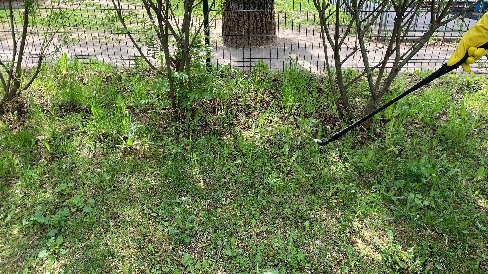 Ступино, клещи, санобработка