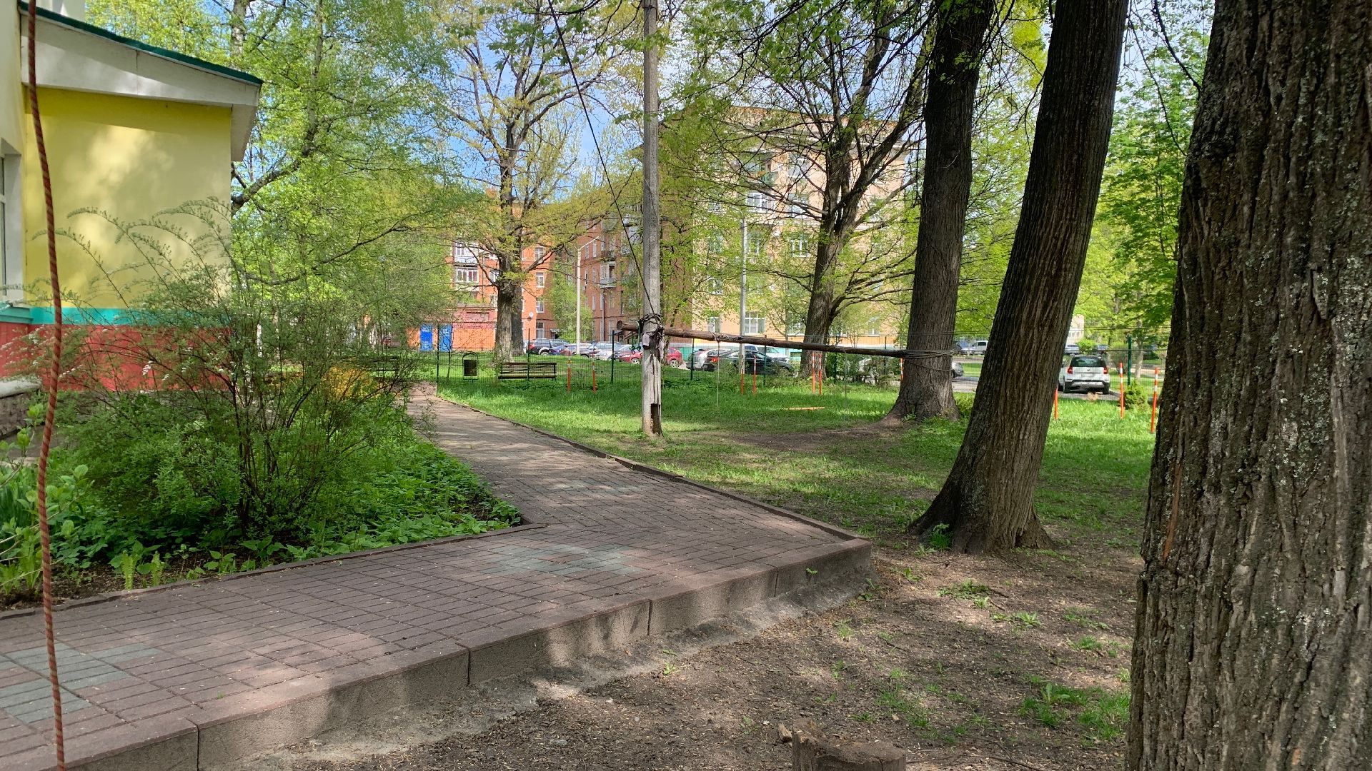 Ступино, клещи, санобработка