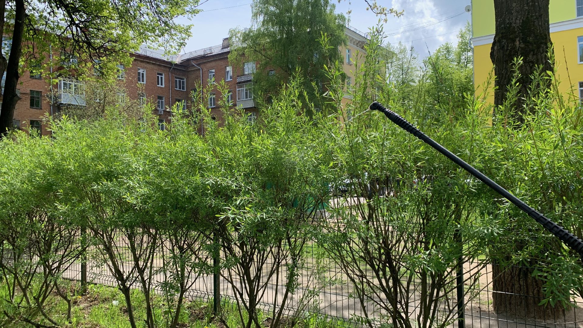 Ступино, клещи, санобработка