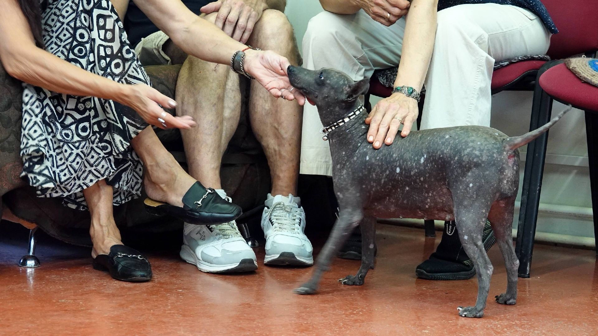 выставка , культура , живопись , сергиево-посадский округ , сергиев посад ,
