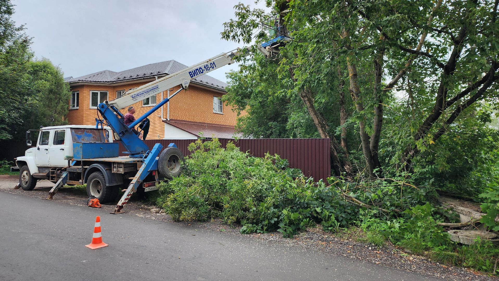 истра, благоустройство, аварийные деревья,
