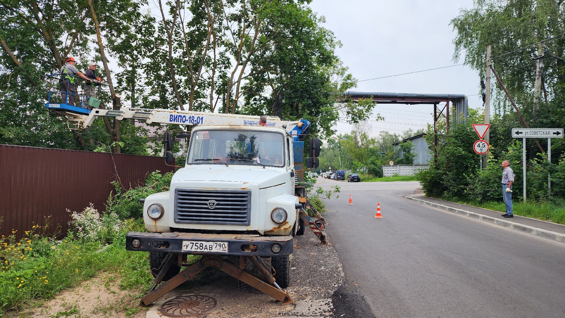 истра, благоустройство, аварийные деревья,