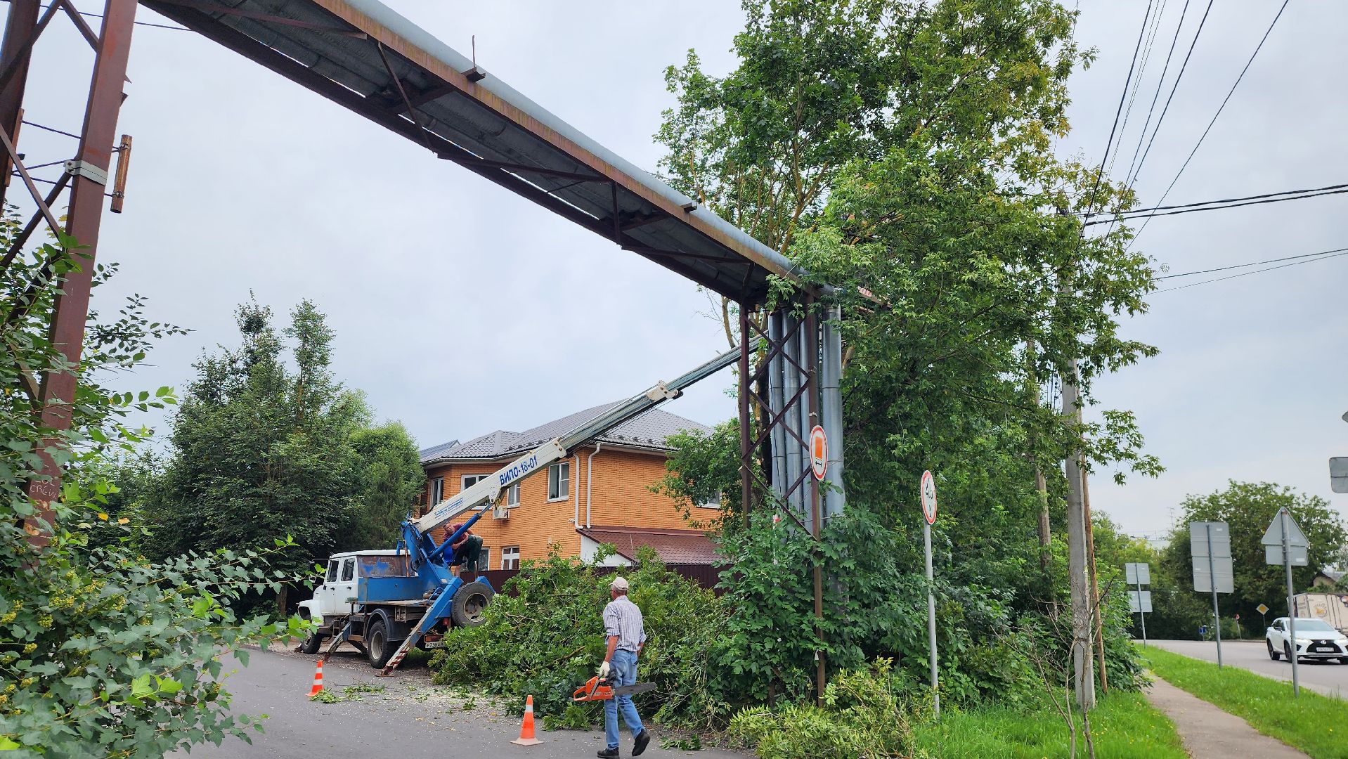 истра, благоустройство, аварийные деревья,