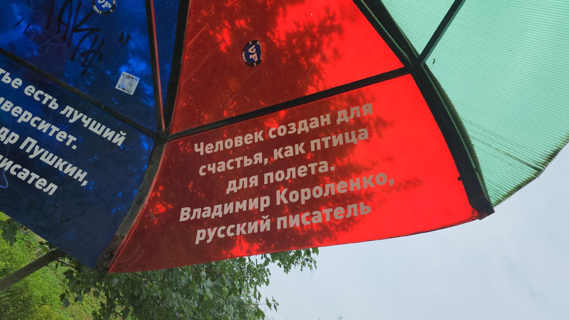 щёлково,  благоустройство, голосование жителей,