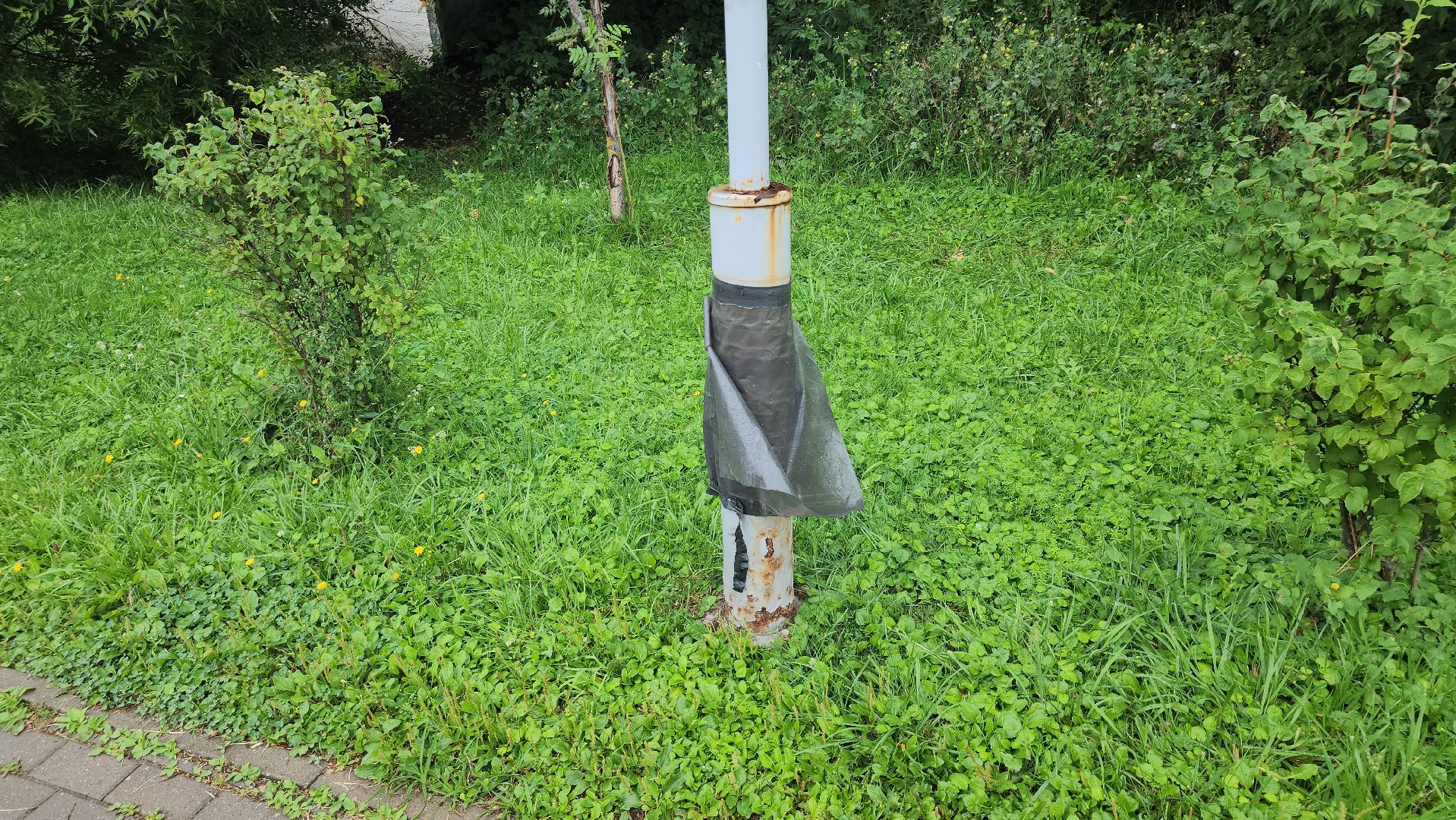 щёлково,  благоустройство, голосование жителей,