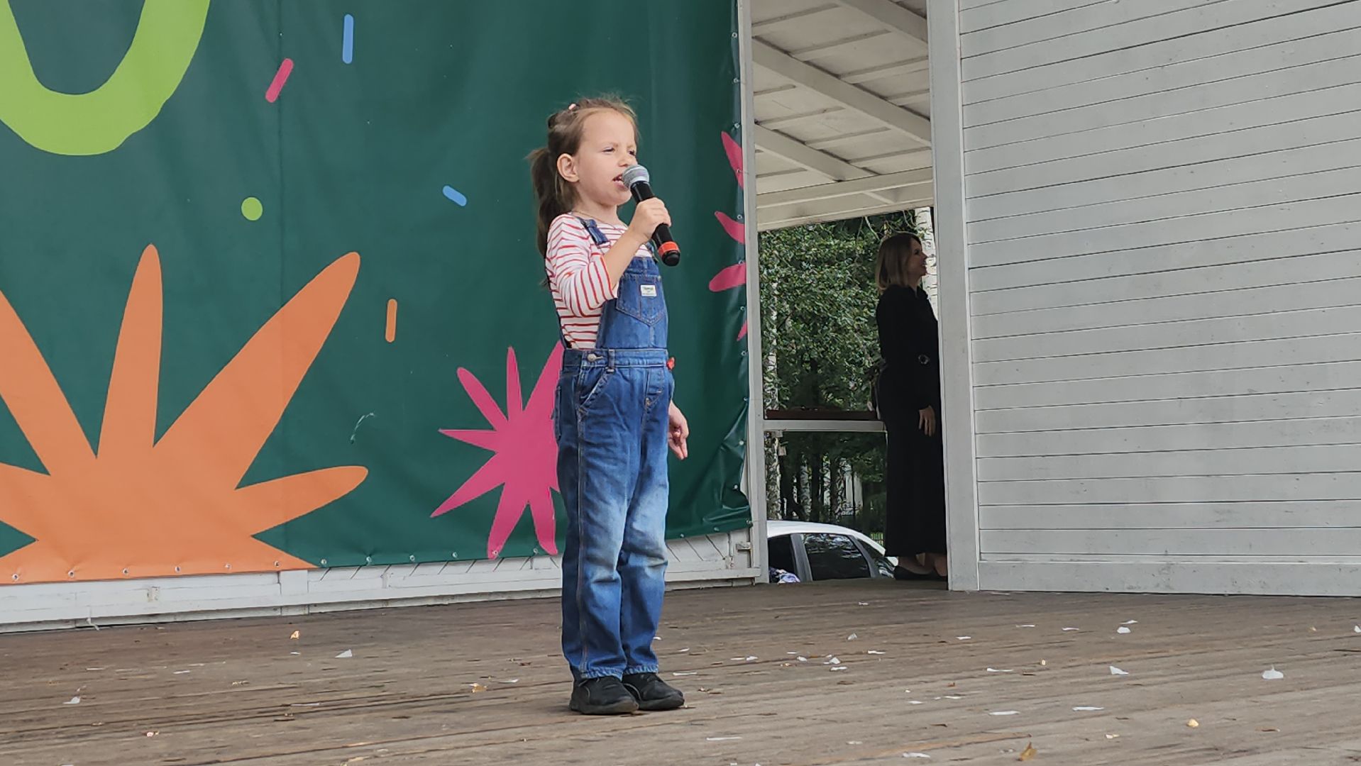 вертикалки, пушкино, театральный фестиваль,спектакли, культурная жизнь, презентация,артисты,администрация округа, поддержка государства,