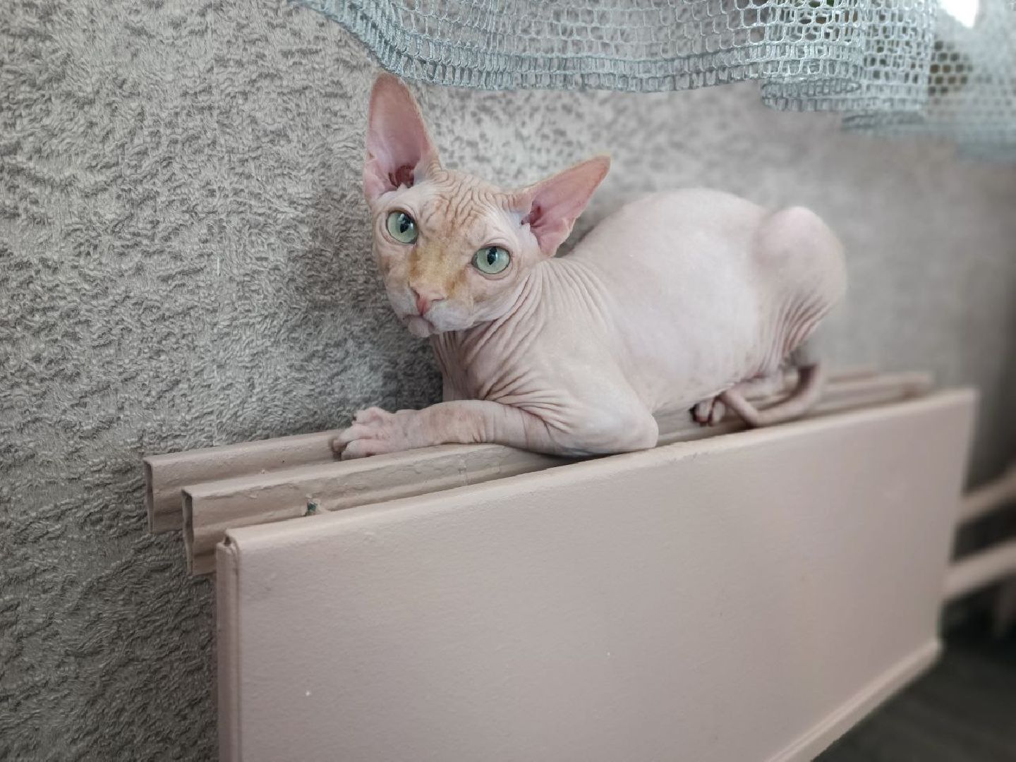 Можайск, Можайский городской округ, Подмосковье, отопительный сезон, тепло, ЖКХ, жители, просьбы жителей