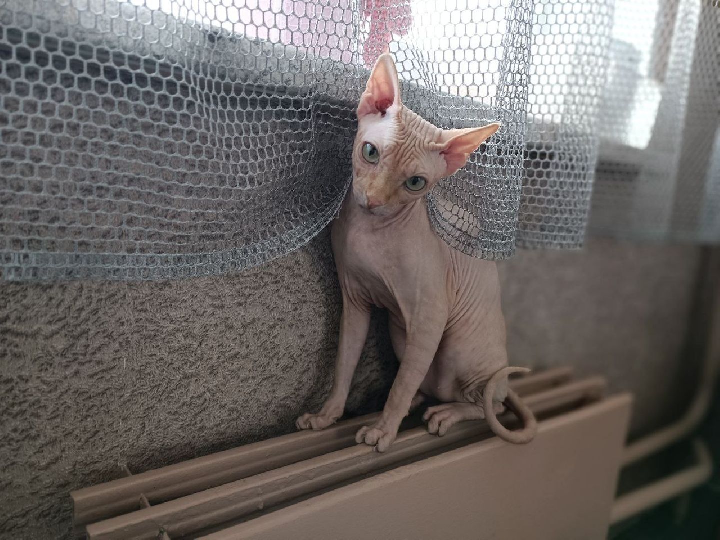 Можайск, Можайский городской округ, Подмосковье, отопительный сезон, тепло, ЖКХ, жители, просьбы жителей