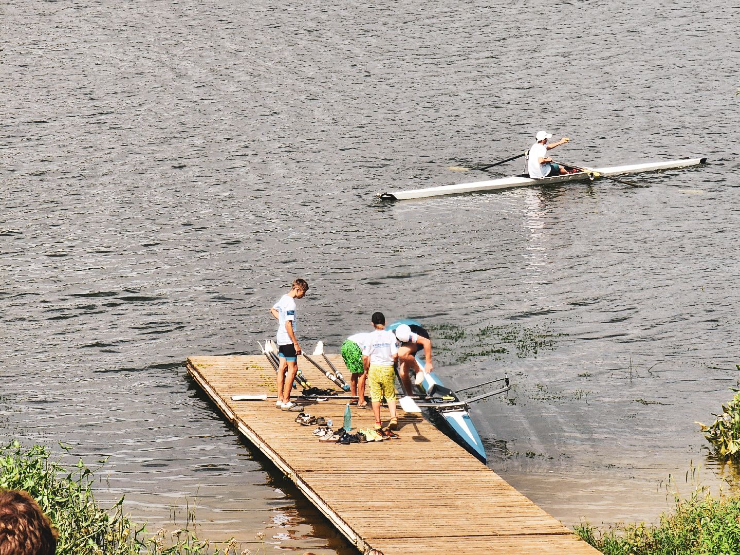 пущино, серпухов, спорт, гребля,