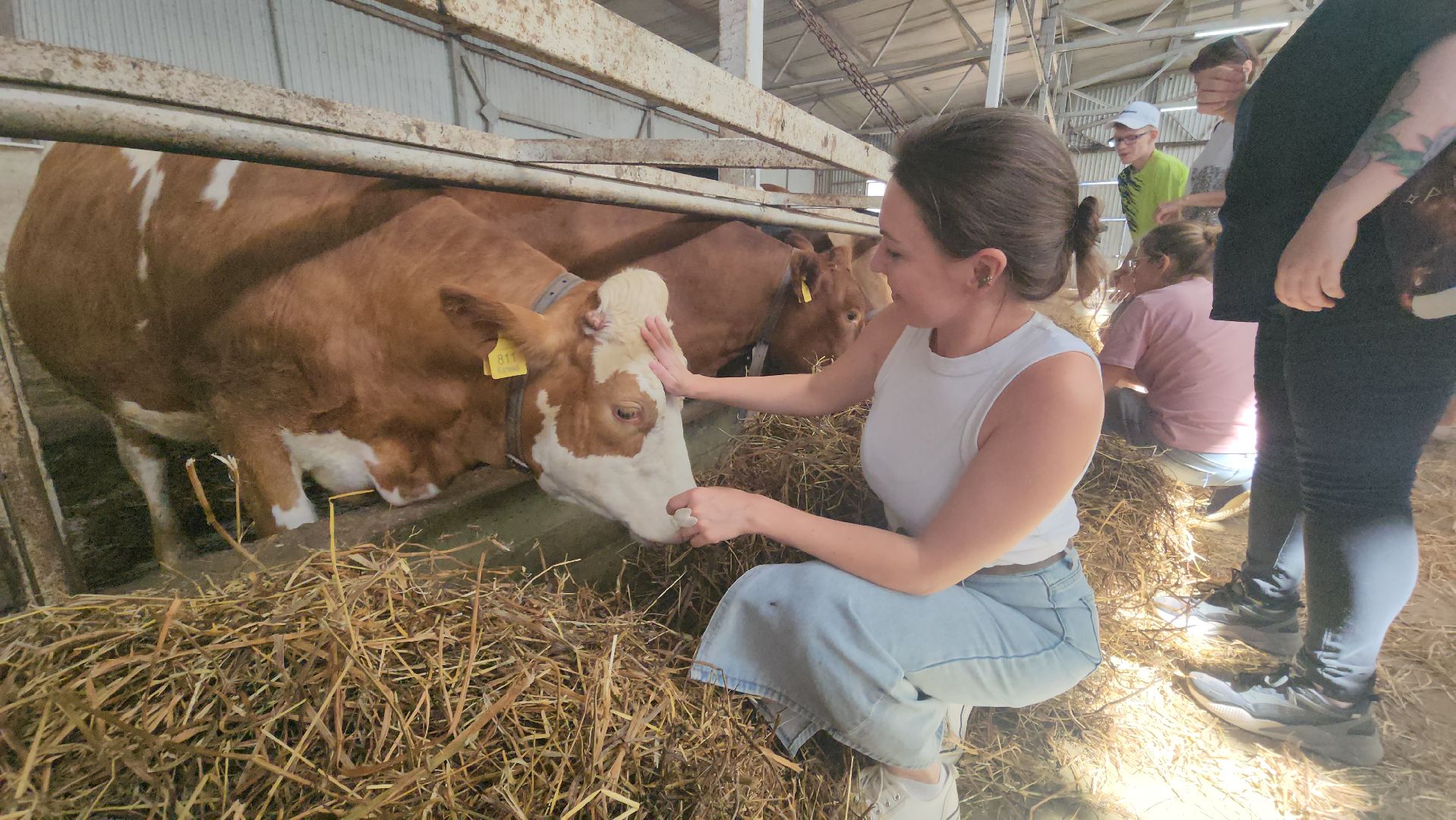 Истра, Фестиваль сыра, Ферма,