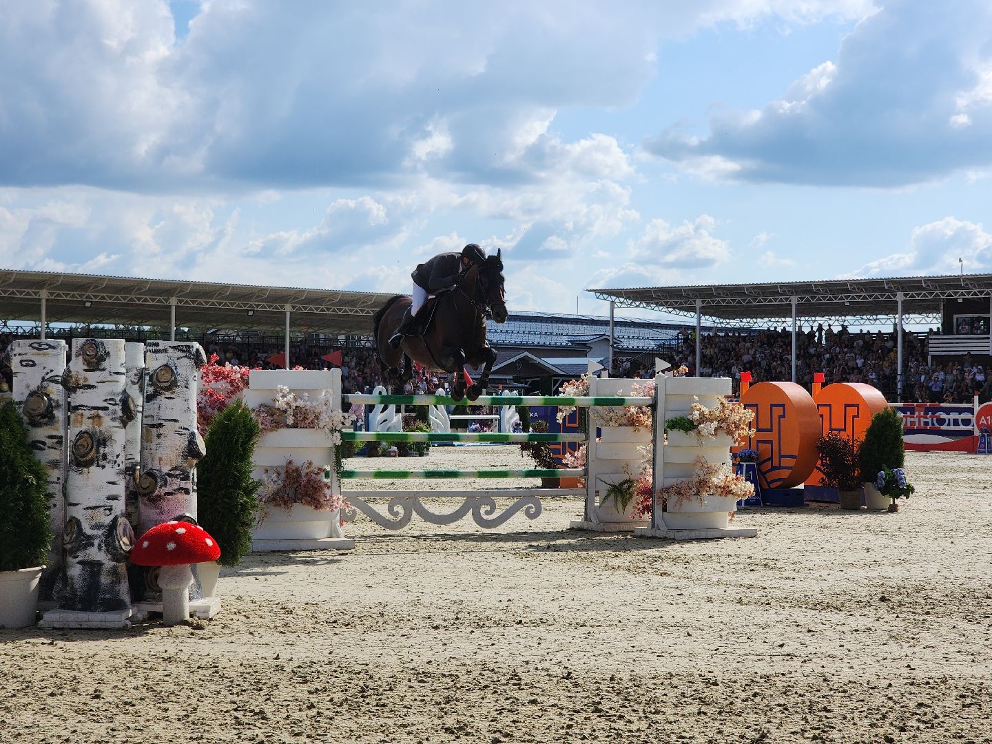 Черноголовка, Хорсека, Конкур,