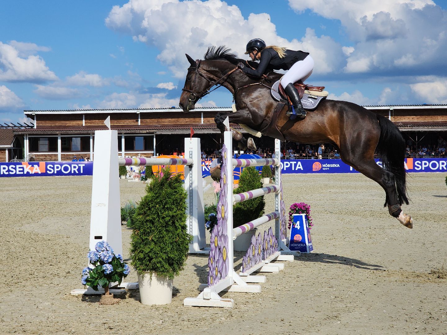 Черноголовка, Хорсека, Конкур,