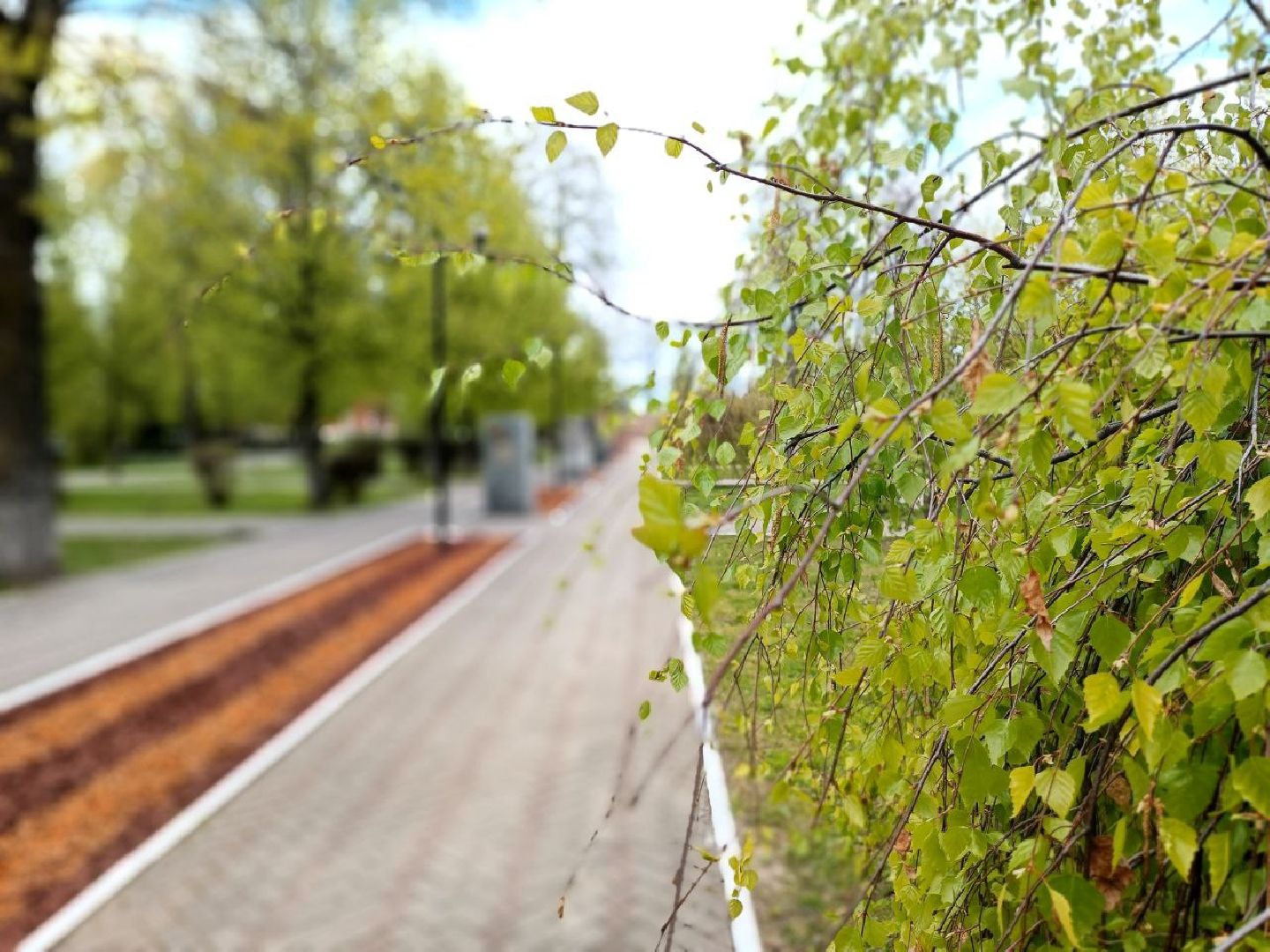 Можайск, Можайский городской округ, Подмосковье, День Победы, благоустройство, 9 мая, акции, салют, концерт, глава
