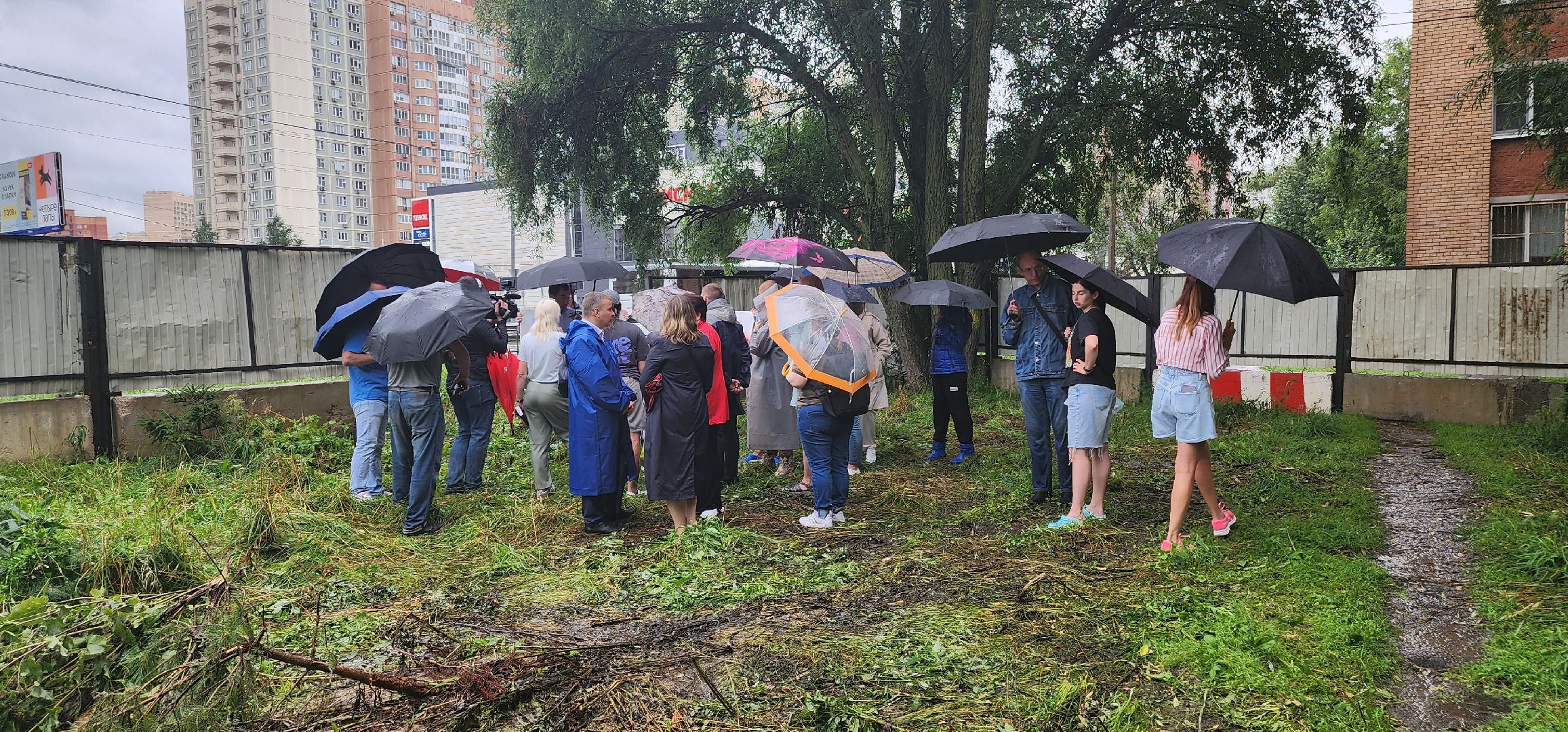 долгопрудный,лихачевское шоссе, вырубка деревьев, ветеринарная клиника, администрация долгопрудного, встреча с жителями,