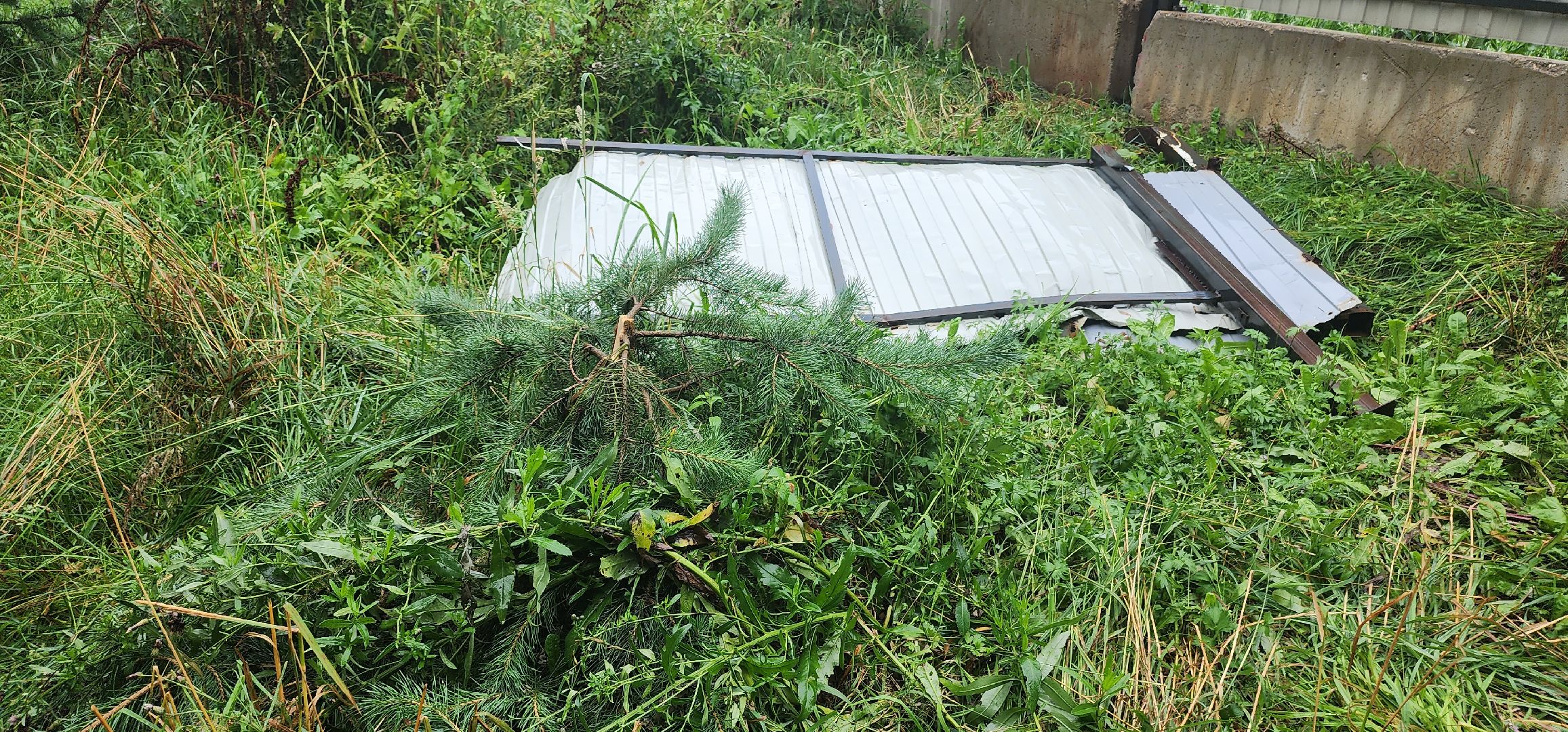 долгопрудный,лихачевское шоссе, вырубка деревьев, ветеринарная клиника, администрация долгопрудного, встреча с жителями,