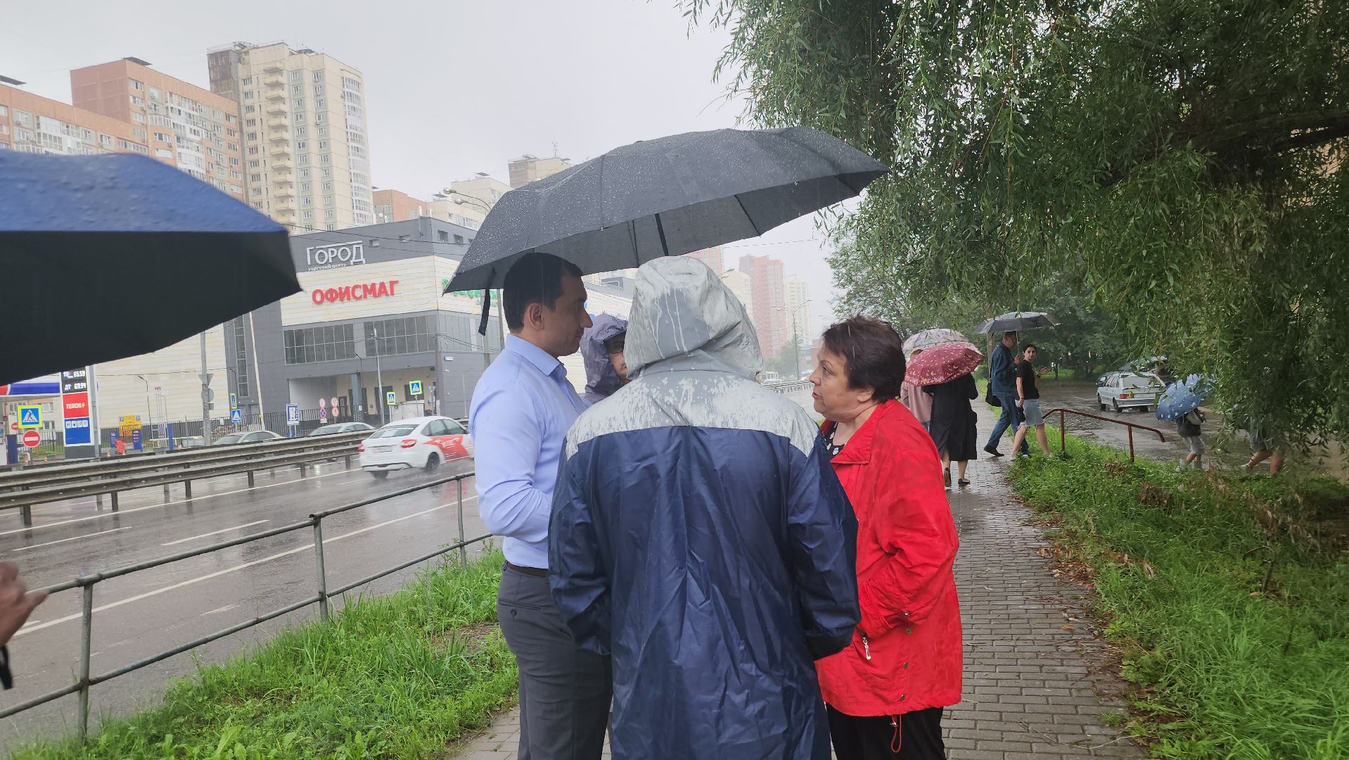 долгопрудный,лихачевское шоссе, вырубка деревьев, ветеринарная клиника, администрация долгопрудного, встреча с жителями,