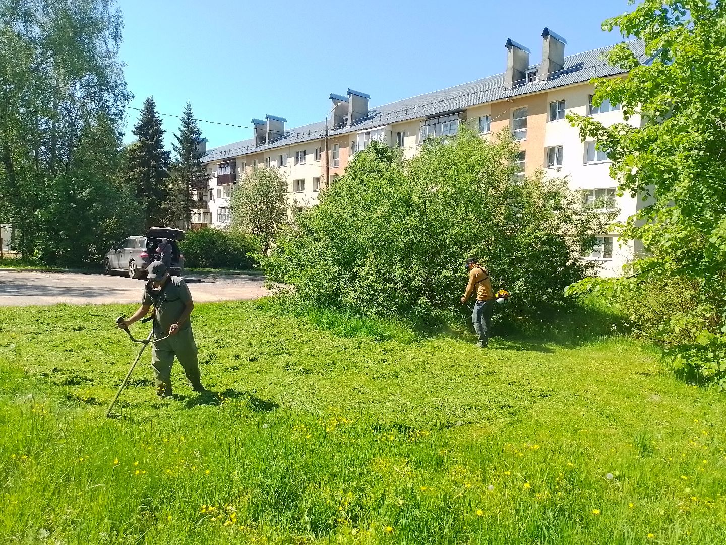 городской округ восход, благоустройство, покос травы, газон,