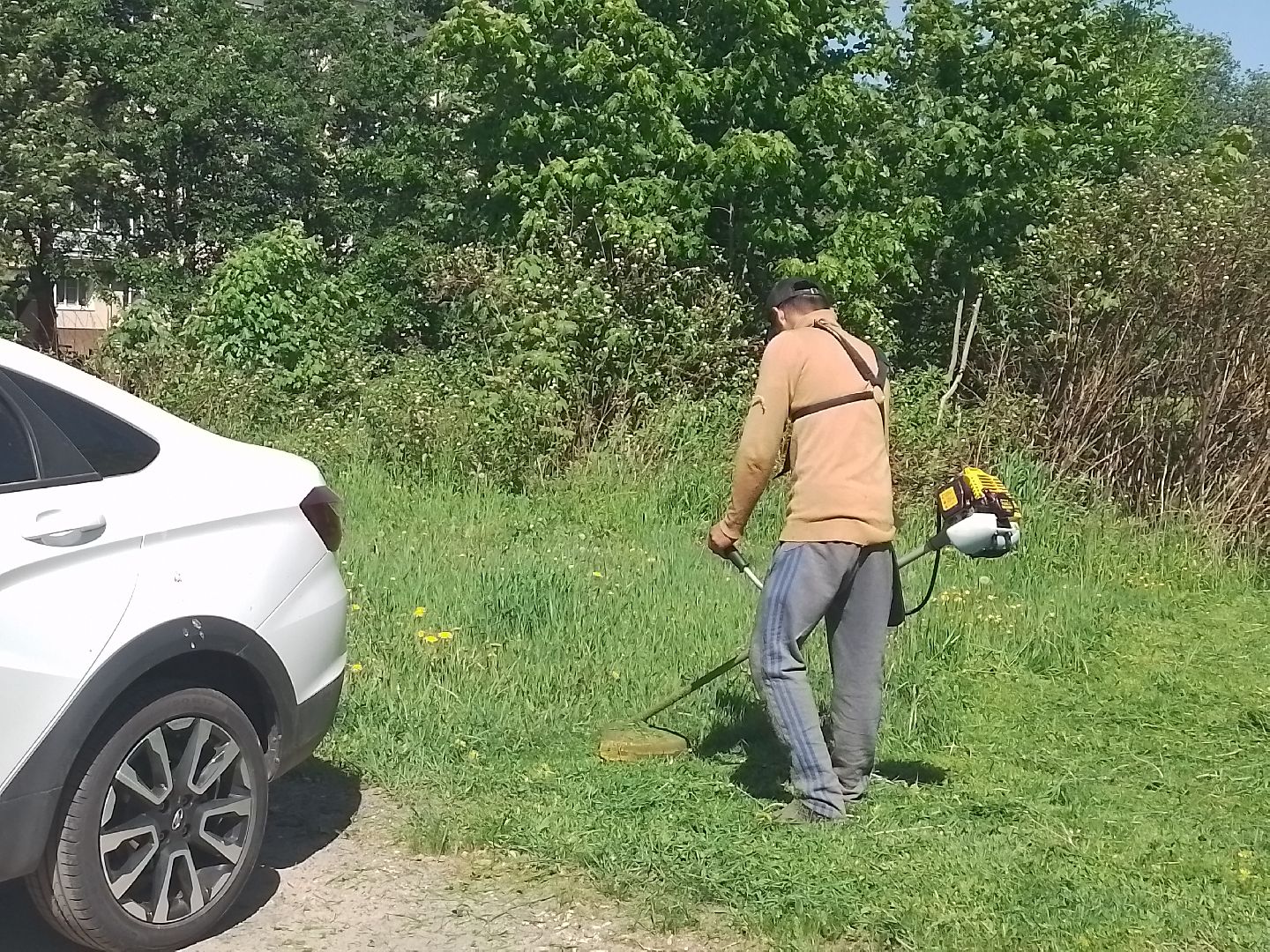 городской округ восход, благоустройство, покос травы, газон,