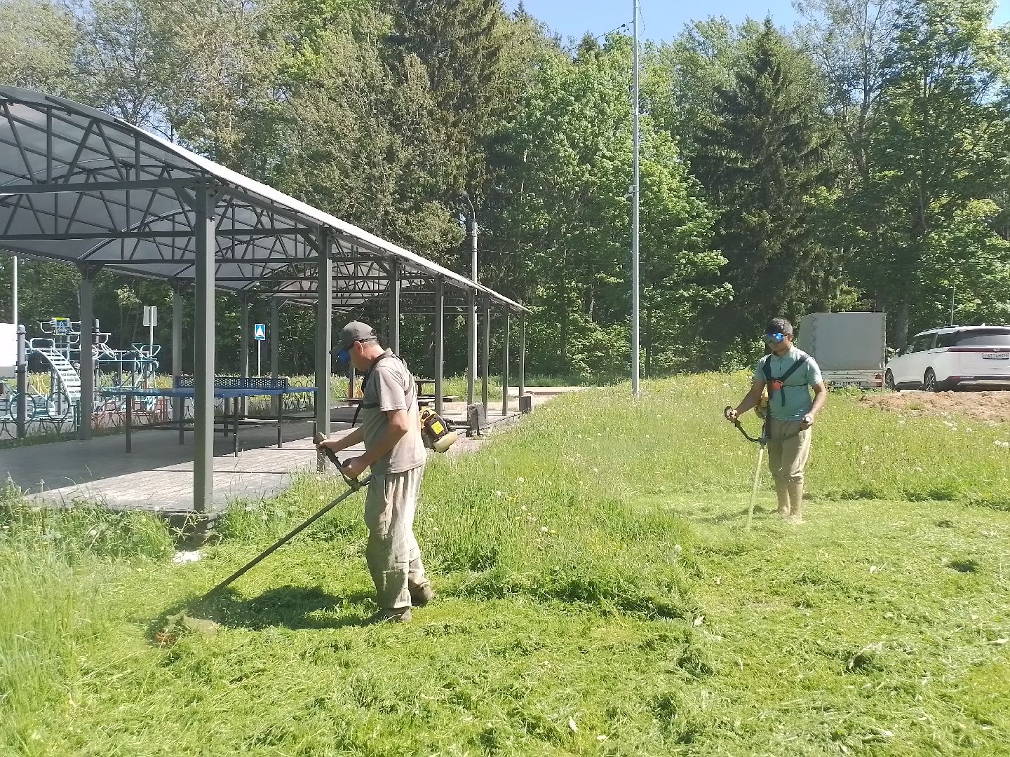 городской округ восход, благоустройство, покос травы, газон,