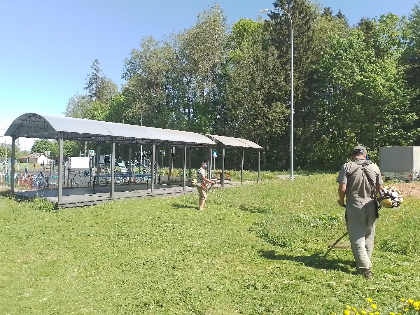 городской округ восход, благоустройство, покос травы, газон,