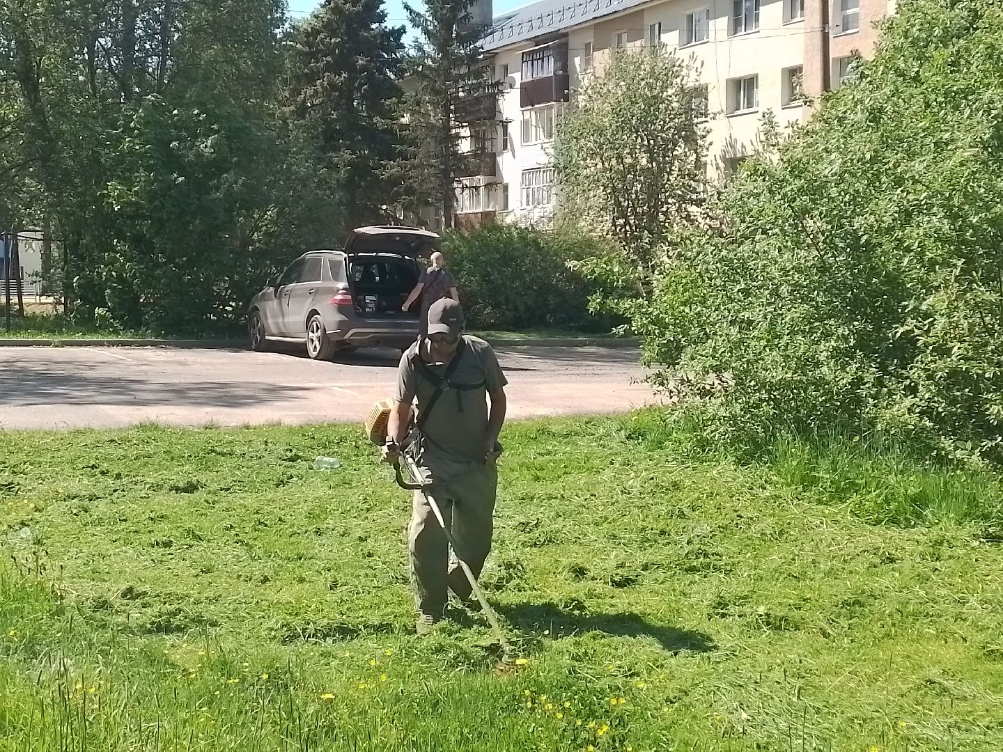 городской округ восход, благоустройство, покос травы, газон,