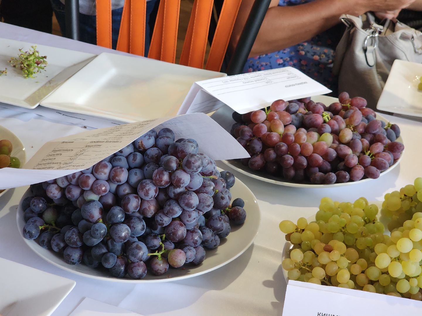 Егорьевск , Подмосковье , Московская область ,