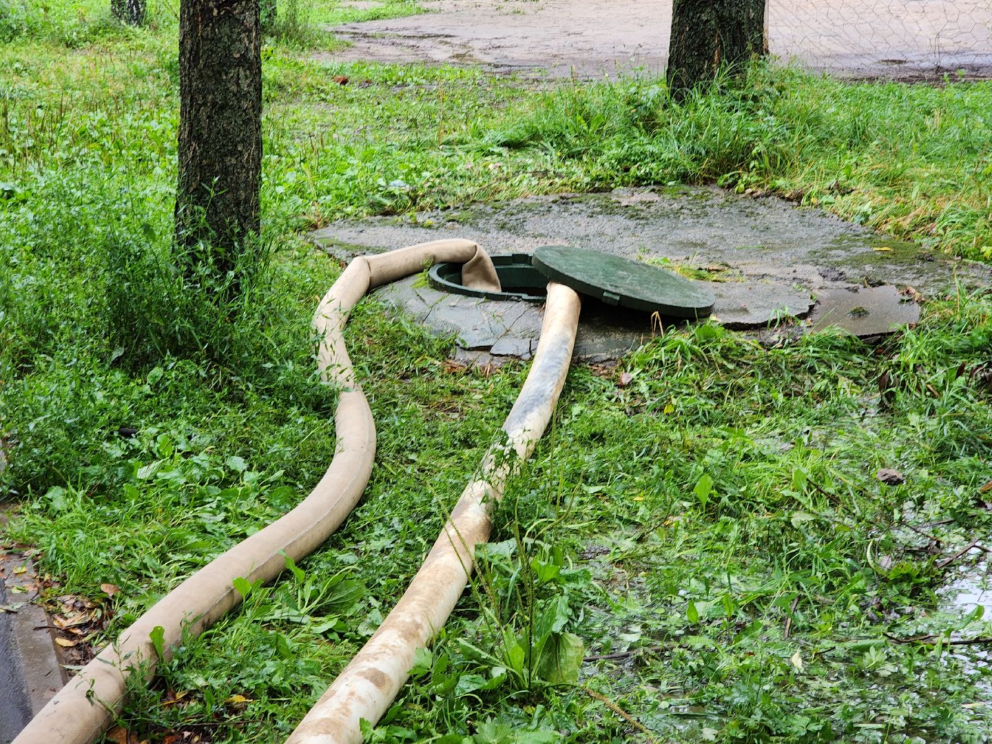 солнечногорск, коммуникации , дождь, стихия, жители ,