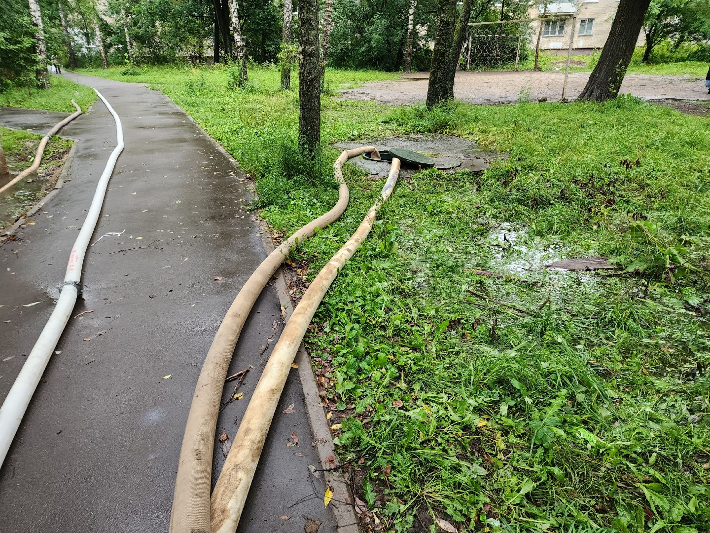 солнечногорск, коммуникации , дождь, стихия, жители ,