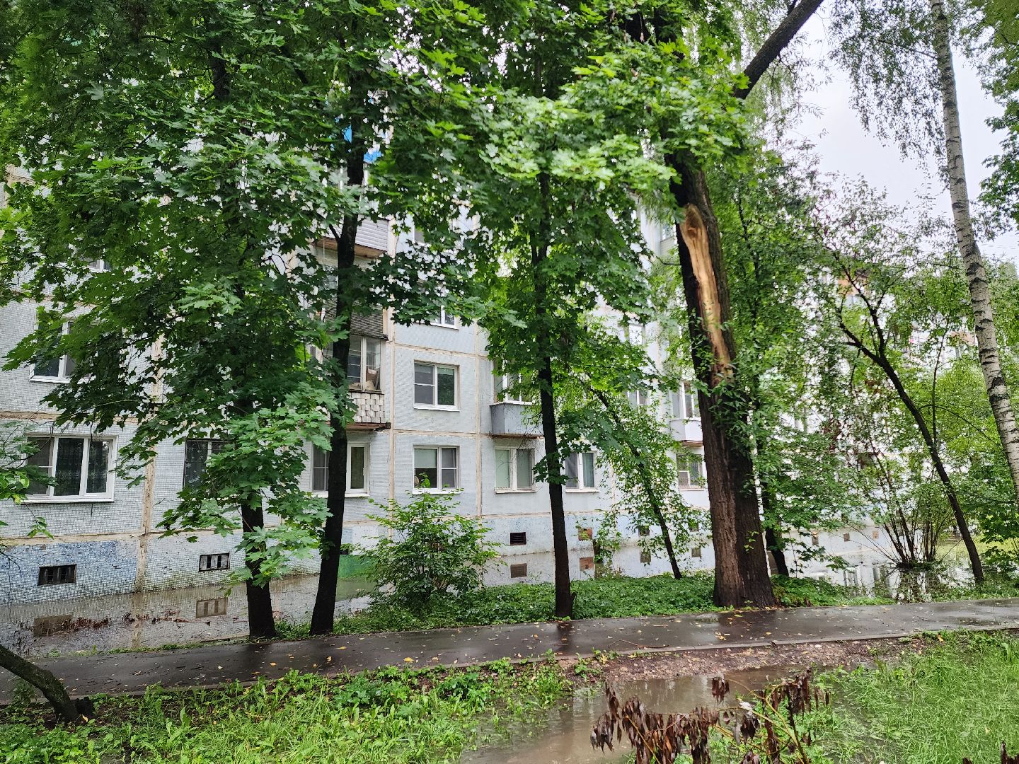 солнечногорск, коммуникации , дождь, стихия, жители ,