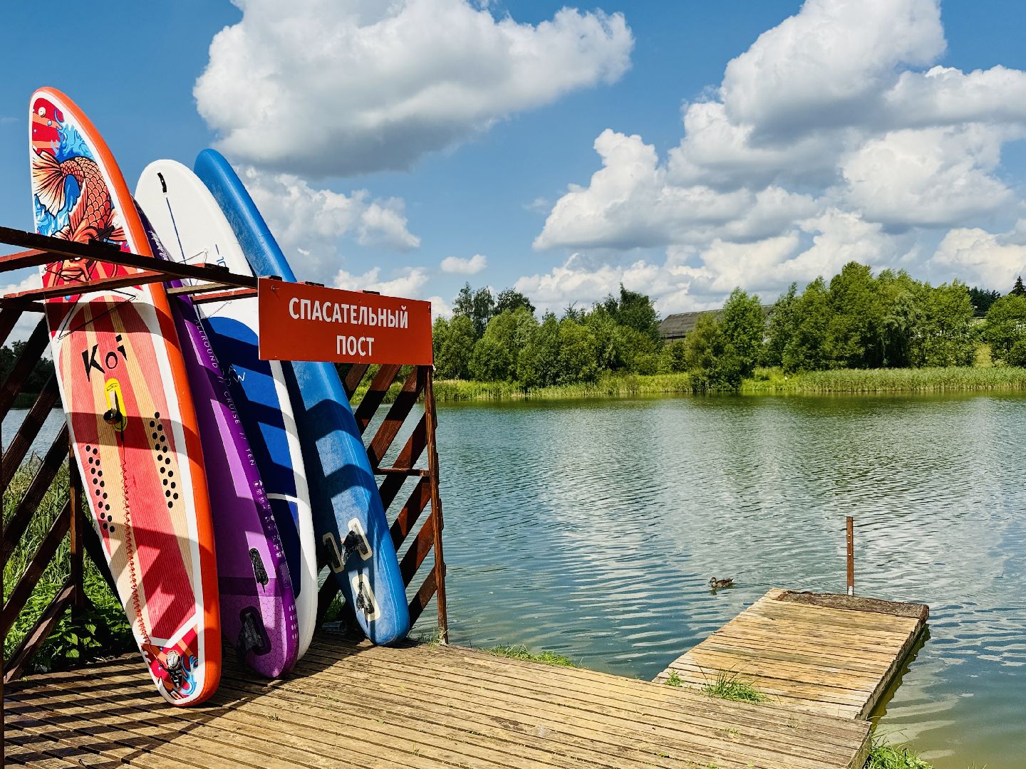 раменское, место для купания, отдых у воды, пляж, пробы воды, озеро гидра, озеро солнечное,