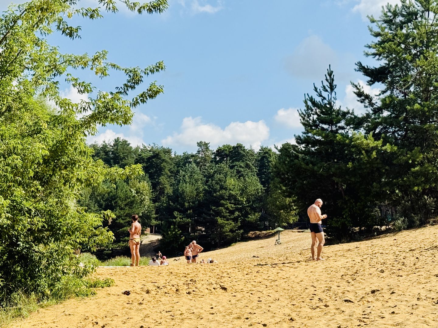 раменское, место для купания, отдых у воды, пляж, пробы воды, озеро гидра, озеро солнечное,