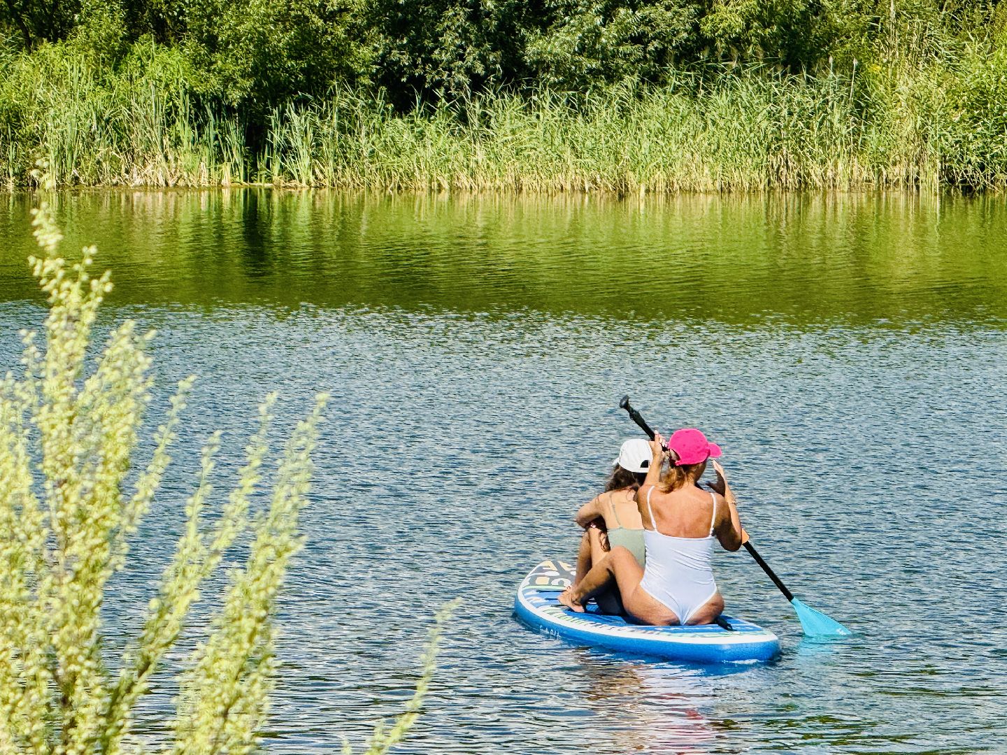 раменское, место для купания, отдых у воды, пляж, пробы воды, озеро гидра, озеро солнечное,