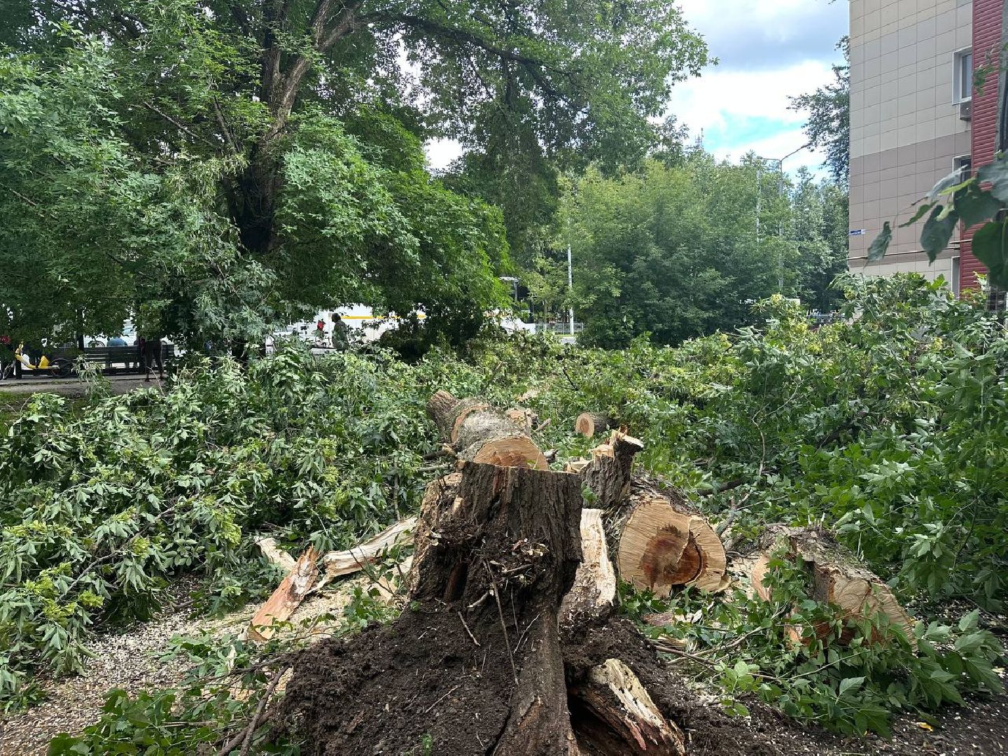 жкх и благоустройство, домодедово,