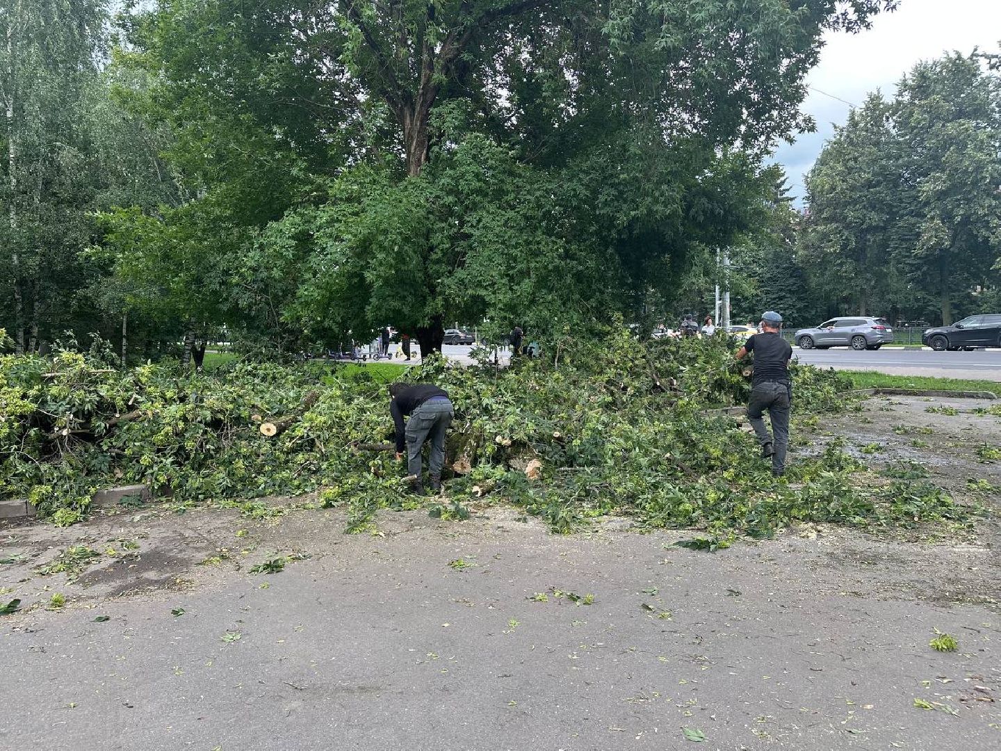 жкх и благоустройство, домодедово,