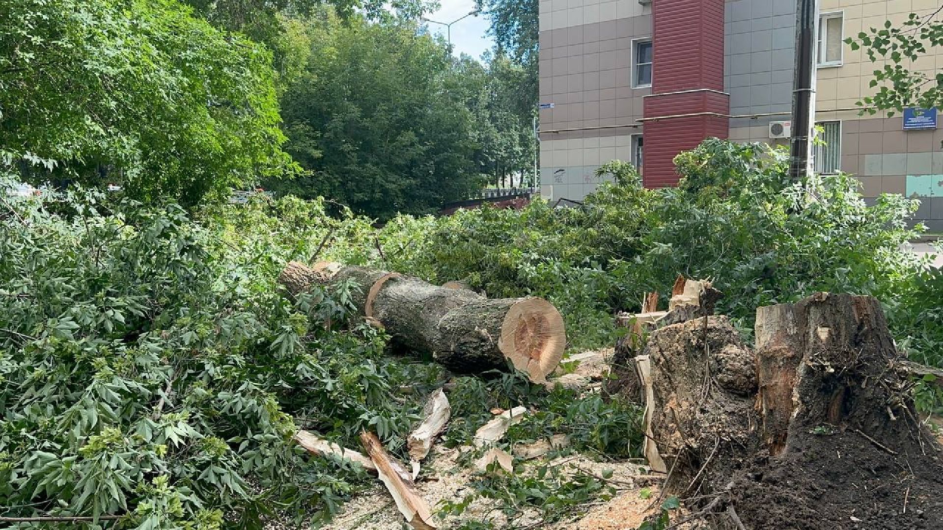 жкх и благоустройство, домодедово,