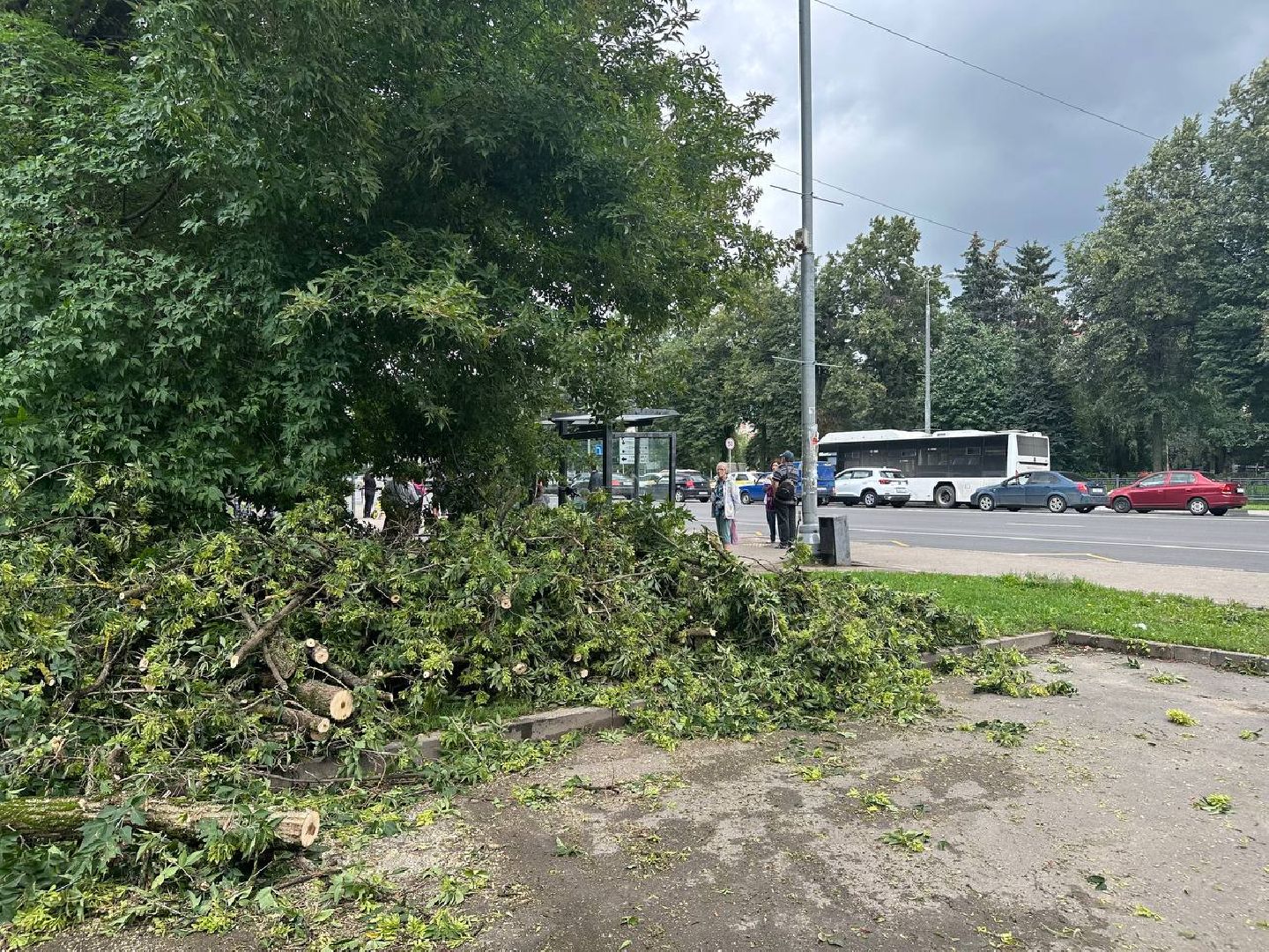 жкх и благоустройство, домодедово,